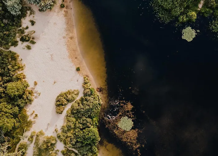 Family With Terrace And Parking شاليه زاندفورت